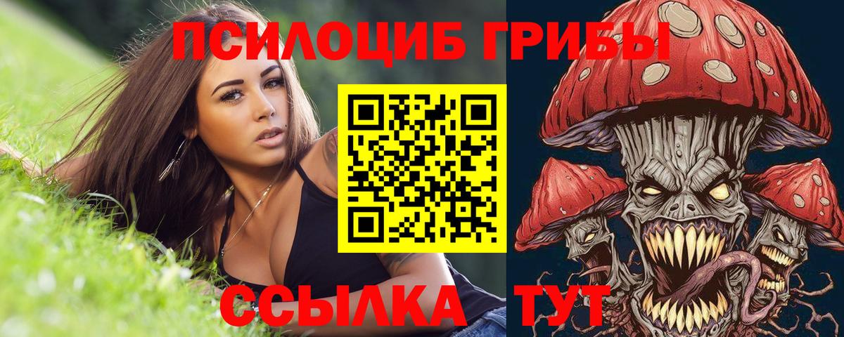 ГАШ Донской